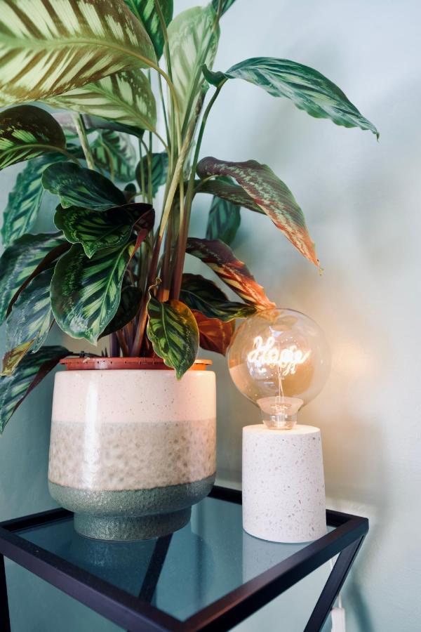 New ! Superbe Studio Vieux Nice - Climatise Ngoại thất bức ảnh