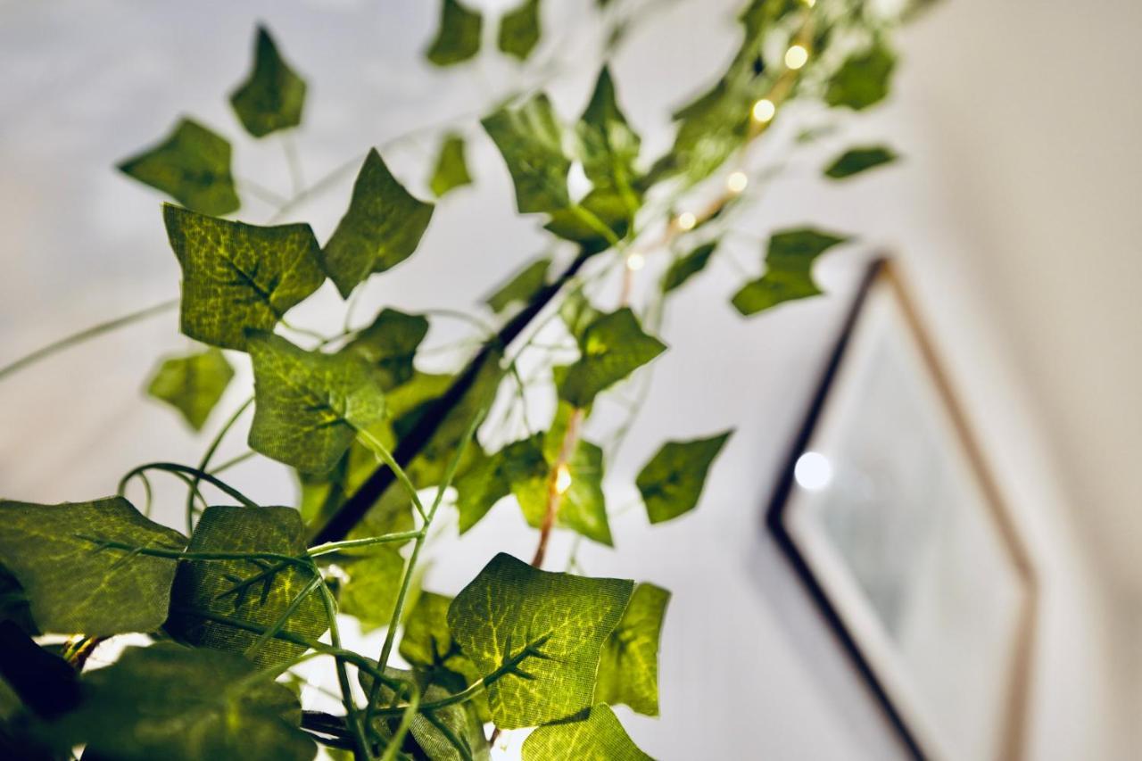 New ! Superbe Studio Vieux Nice - Climatise Ngoại thất bức ảnh